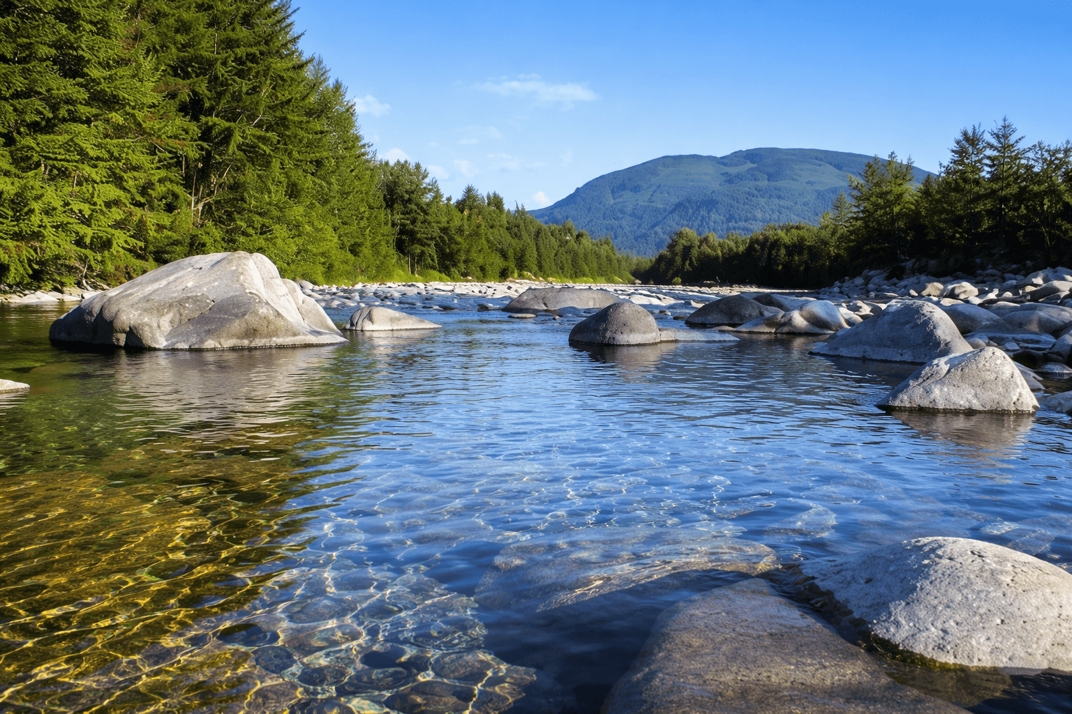 Forest river flowing through lush greenery